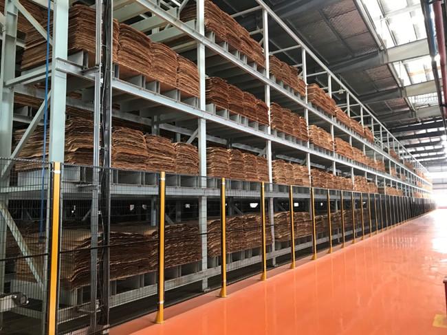 人造板有限公司筹年产10万立方米胶合板自动化生产线项目施工图设计